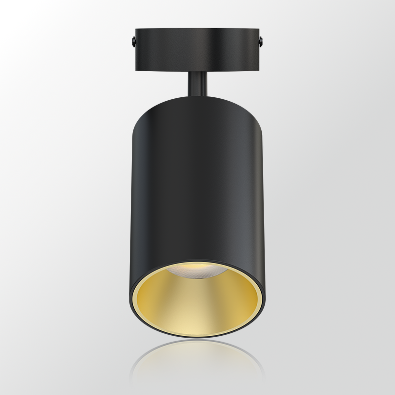 Modular Downlight (AXIS Series)归档 - LUX LIGHTING | LED Strip, Neon Flex ...
